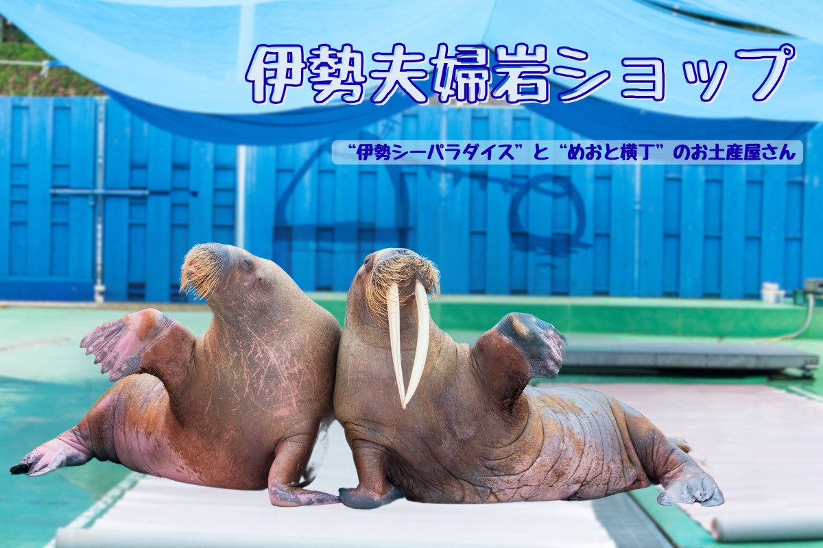 伊勢夫婦岩ショップ