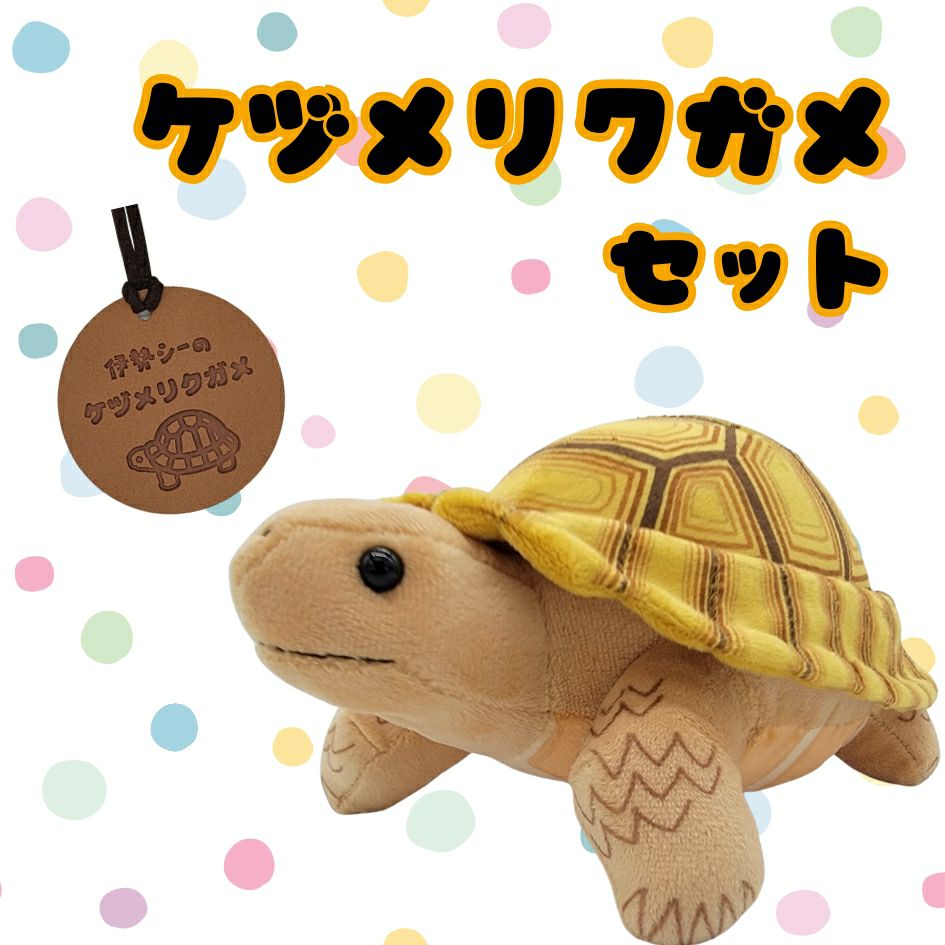 伊勢シーのぬいぐるみSサイズケヅメリクガメ2点セット | 伊勢夫婦岩
