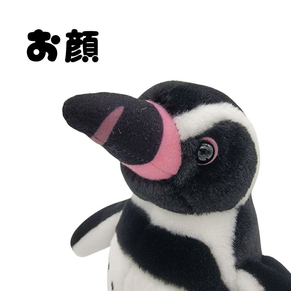 伊勢シーのぬいぐるみSサイズフンボルトペンギン2点セット | 伊勢夫婦